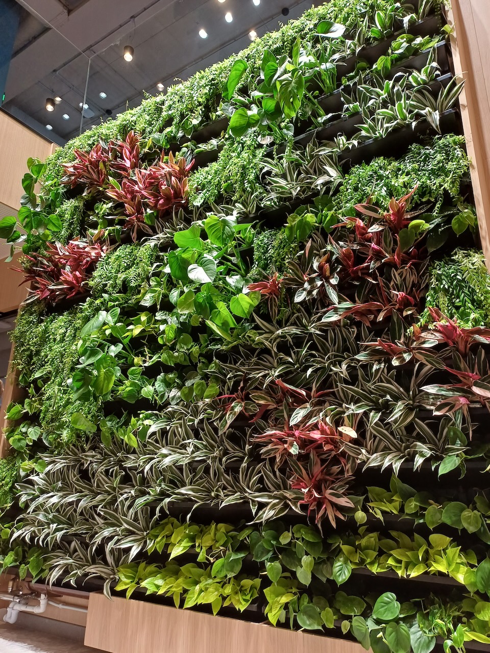 Vertical Garden